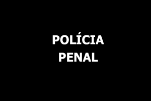 Leia mais sobre o artigo AGUINALDO RIBEIRO: APOIO DE PESO NA APROVAÇÃO DA PEC 372(POLÍCIA PENAL)